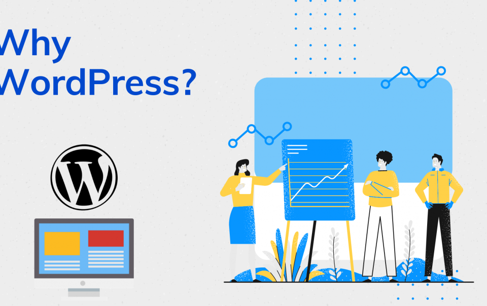 Why WordPress to maximize the performance the website