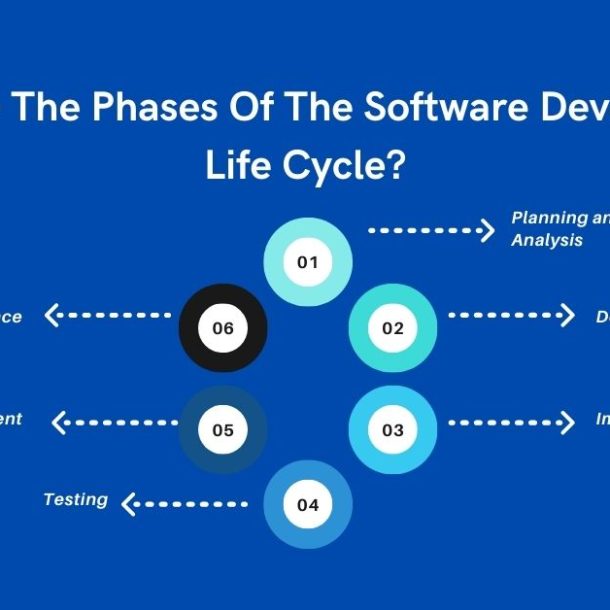 What are the phases of the software development life cycle