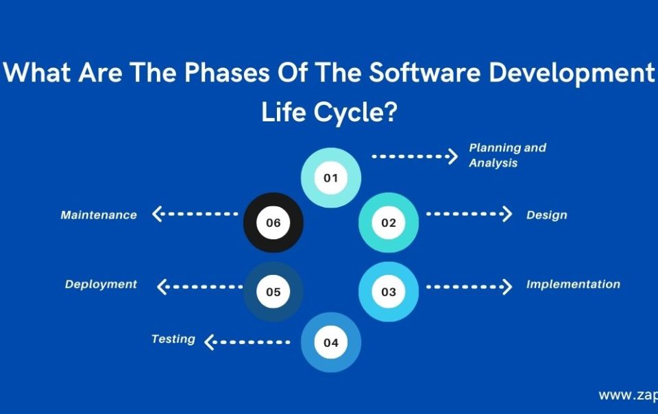 What are the phases of the software development life cycle